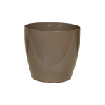 02-500x500-500x500