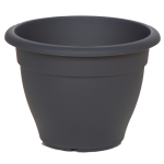 anthraki-500x500_160653651