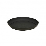 anthraki-500x500_842257998