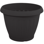 antraki-500x500_1345980591