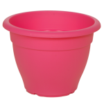 fouksia-500x500_1663469424