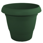 kypparissii-500x500_1190448288