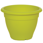 lahani-500x500_1662979165