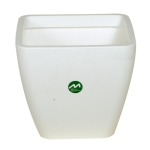 lefko-500x500_1092226021