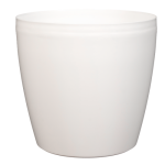 lefko-500x500_1654855625