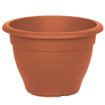 terakota-500x5001_815584142