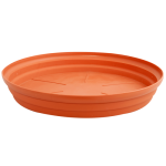 terakota-500x500_884274147