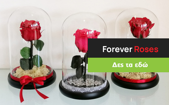 Forever_Roses